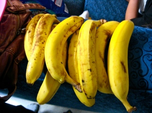 the smuggled bananas!